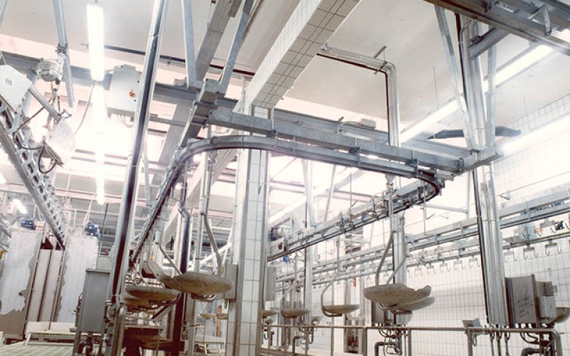 Organs inspection line