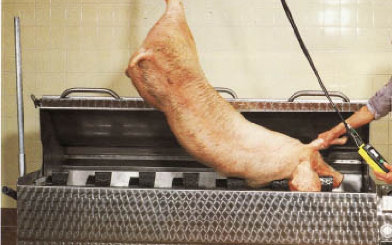 Scalding combinate machine