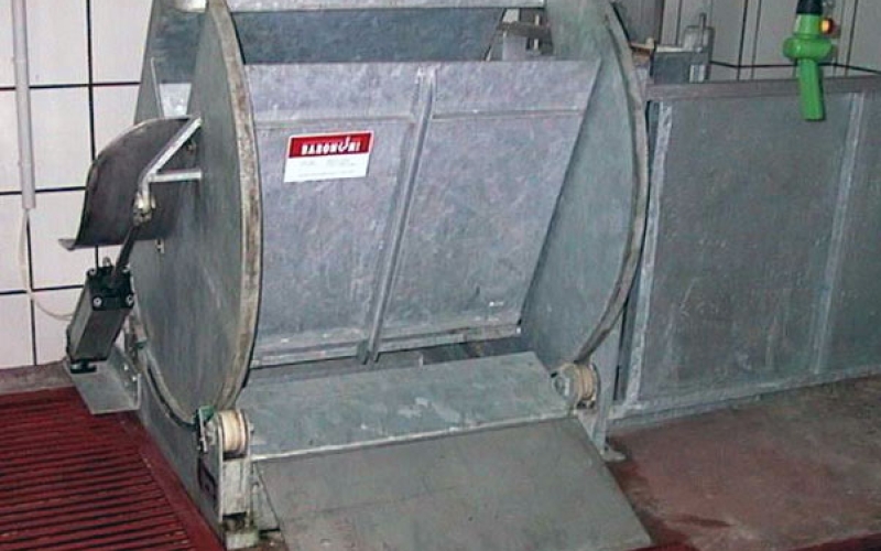 Islamic Stunning Sheep Box