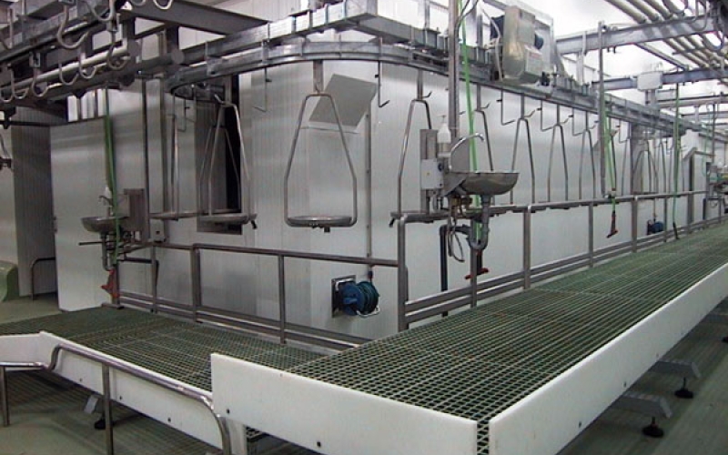 Organs inspection line