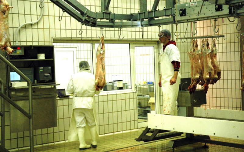 Weighing classification