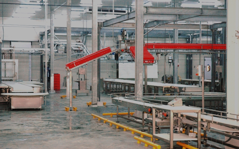 Deboning line type 6